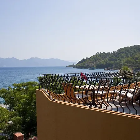 Serendip Select Turunc