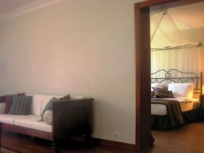 Serendip Select Turunç