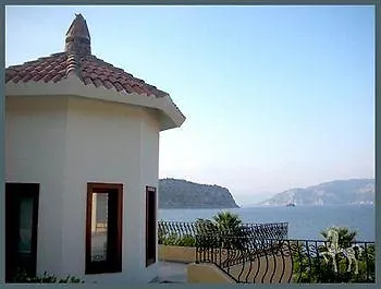 Serendip Select Turunç