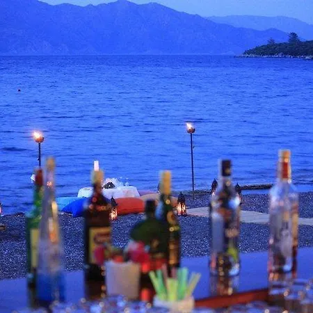 Serendip Select 4*