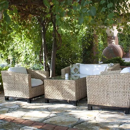 Serendip Select Turunç